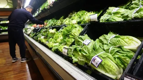 มะกันเตือน ระวังกินผักกาดโรเมน 'อี โคไล' พันธ์ุใหม่ระบาด