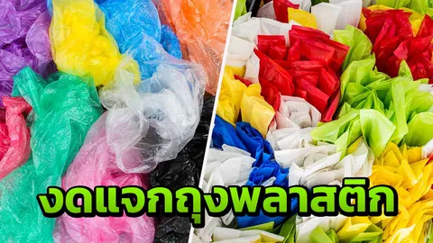 4 ธ.ค. ห้าง ร้านค้า สะดวกซื้อ งดแจกถุงพลาสติก ลดโลกร้อน