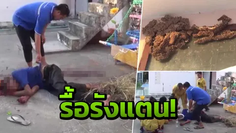โชคร้าย ช่วยทำความสะอาดวัด ไปรื้อโดนรังแตน ถูกต่อยตกมาตาย! 