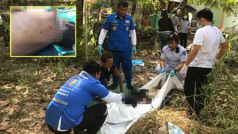 ฝูงต่อพิฆาต หนุ่มใหญ่จะเผารัง แตกฮือรุมต่อย ตกต้นยางดับอนาถ