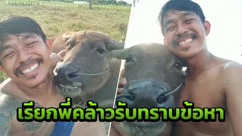 แจ้งข้อหาพี่คล้าว2018 ฉ้อโกงเรี่ยไรเงินไถ่ควายยิ้ม เจ้าของโผล่ยันไม่ได้ขาย
