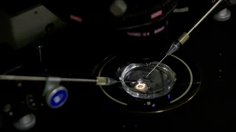 นักวิทย์จีนอ้าง สร้างทารกตัดแต่งพันธุกรรมสำเร็จครั้งแรกของโลก