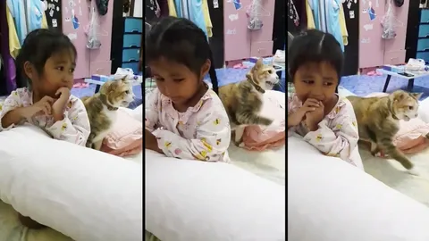 โซเชียลเอ็นดู...แม่แกล้งตีลูกสาว แต่เจ้าเหมียวร้องขู่ใช้ขาหน้าปกป้อง (คลิป)