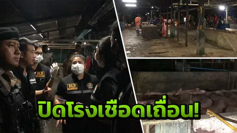 บุกจับโรงเชือดหมูเถื่อน! กลางเมืองหาดใหญ่ ไร้ใบอนุญาต เปิดมานาน 20 ปี