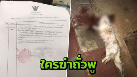 หนุ่มแจ้งความคนร้ายบุกฆ่าหมาถึงในบ้าน แต่เรื่องเงียบ ต้องอยู่แบบหวาดผวา