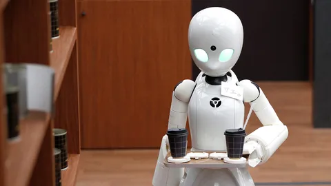 หุ่นยนต์พนักงานเสิร์ฟควบคุมโดยคนพิการ (คลิป)