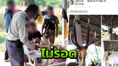 รวบพ่อค้าโพสต์ขายซากสัตว์ป่าสงวน ติดกับเจ้าหน้าที่ล่อซื้อผ่านโซเชียล