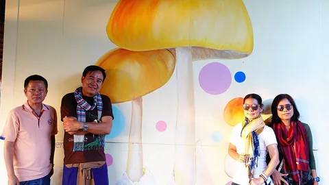 สีสันงดงาม “เมืองเรืองแสง” ช่องเม็ก