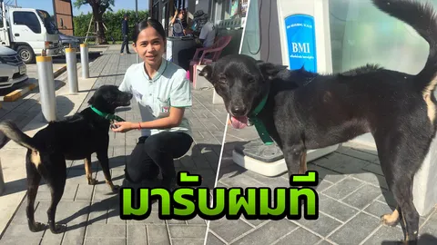 พบเจ้าตูบติดปั๊มน้ำมัน ตามหาเจ้าของ คาดกระโดดลงระหว่างเติมน้ำมัน