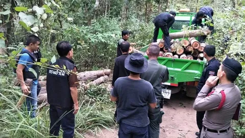 ป่าไม้ลำปางจับชาวบ้านลักตัดไม้กระยาเลย 100 ท่อน อ้างจะเอาไปเผาถ่าน