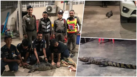 แตกตื่นกลางดึก! ไอ้เข้บุกร้านอาหาร กู้ภัยช่วยกันจับทุลักทุเล