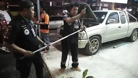 สาวเมืองชลฯ เจอลูกงูเหลือมซุกห้องเครื่องรถกระบะ โร่แจ้งกู้ภัยจับ (คลิป)