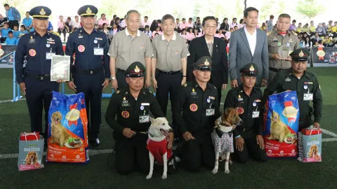 สุนัขทรงเลี้ยง ร่วมโชว์ความสามารถในงาน มหกรรมสัตว์เลี้ยงฯ ครั้งที่ 14