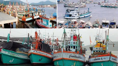 ประมง ปัตตานีจอด 500 ลำ เงินก็ฝืดแล้ว