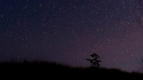 ฝนดาวตกเจมินิดส์ กระจายอยู่เต็มท้องฟ้า (คลิป)