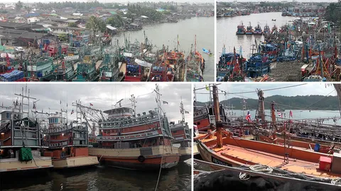 รับอนุสัญญา C188 ประมงไทยสิ้นสูญ