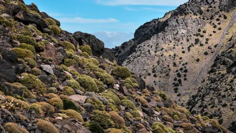 ช็อก 2 นักท่องเที่ยวต่างชาติหญิง โดนฟันคอดับสยอง ในโมร็อกโก