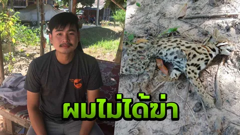 ไม่ได้ฆ่า "ผู้บ่าวกินแมว" สารภาพ หมากัดแมวดาวตาย เลยเอาเนื้อมาทำอาหาร