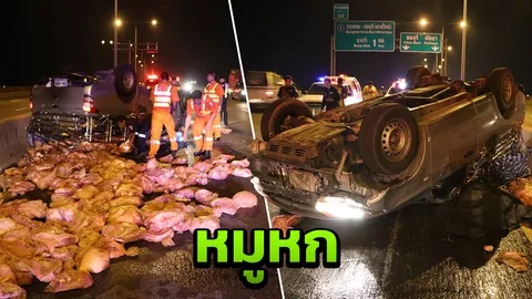 ยางระเบิดทำรถขนเนื้อหมูพลิกคว่ำ หมูตกเกลื่อนถนนด่วนบูรพาวิถี