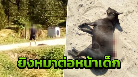 เพจดัง อ้างตร.ชักปืนจ่อยิงหมาต่อหน้าเด็ก ก่อนตามซ้ำอีก 3 นัดตายคาที่ (คลิป)