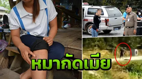 เผยรอง สว.ป.จ่อยิงหมา อ้างกัดเมีย จะเอาซากไปตรวจ มีเชื้อบ้าหรือไม่ 