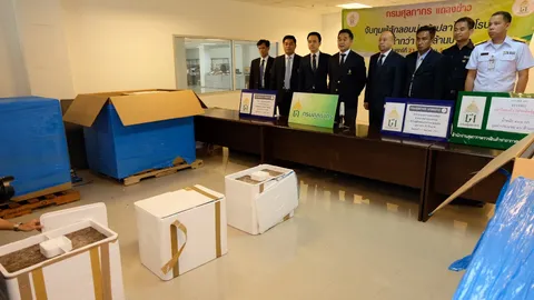 ศุลกากร จับปลาไหลยุโรป ลักลอบนำเข้าทางเครื่องบิน มูลค่ากว่า 40 ล้าน
