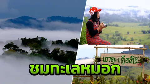 ชมทะเลหมอก ดูอารามเก่า ที่บ้านสนสวย ภูเขาฟูจิเมืองไทยในเพชรบูรณ์