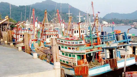 ความเข้าใจเกี่ยวกับประมงชายฝั่ง