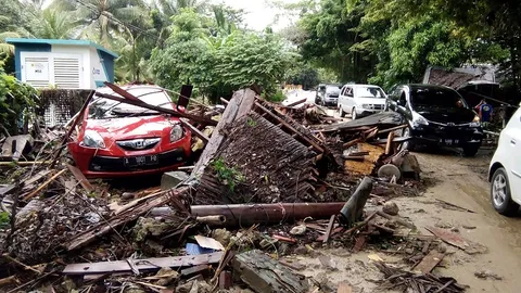 ฤทธิ์สึนามิ