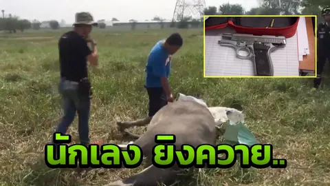 แค้นคนฆ่าควาย ชัก9มม. ยิงตัวเมียท้องแก่ตายทั้งกลม บาดเจ็บอีก 2 