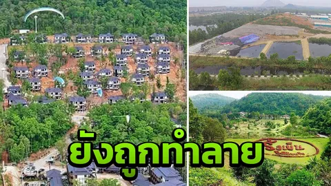 นโยบาย "ทวงคืนผืนป่า" ล้มเหลว "ป่าไม้-สิ่งแวดล้อม" ยังถูกทำลาย