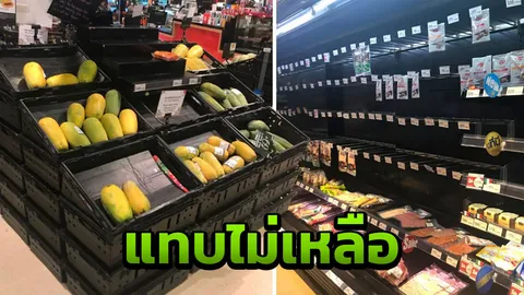 อิทธิพล "พายุปาบึก" คนบนเกาะสมุยตุนอาหาร ในซุปเปอร์แทบเกลี้ยงชั้น 