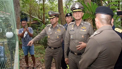 ค้นหลุบพญา