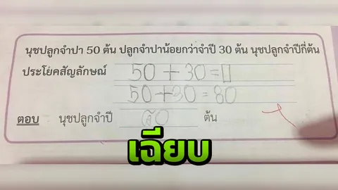 คณิตคิดหัวหมุน โซเชียลถกโจทย์เจ้าปัญหา "นุชปลูกจำปี-จำปากี่ต้น"