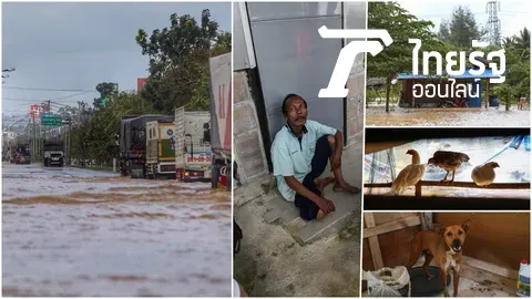 ชุมพรเจอหางเลขพายุปาบึก น้ำท่วมถนน-ชุมชน ลุงห่วงหมา-ไก่ ไม่ยอมทิ้งบ้าน