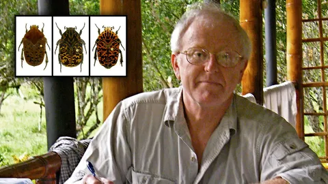 ตั้งชื่อแมลงพันธุ์ใหม่ ตามซีรีส์มหาศึกชิงบัลลังก์