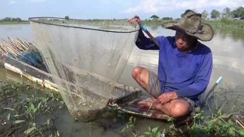 ทีเด็ดนักล่ากุ้งพะเยา ใช้อีแอบดักกุ้งฝอย จับขายสร้างรายได้ดี 