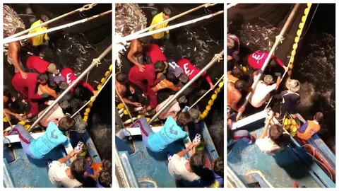 ขอบคุณน้ำใจชาวประมงไทย ช่วยเต่ามะเฟืองหนัก 300 กก.ติดอวน (คลิป)