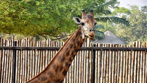 “บินลาเดน” ถึงบ้านใหม่เขาเขียว