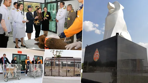 ฟ้าหญิงจุฬาภรณ์ ทรงส่งเสริมศูนย์พักพิงสุนัขจรจัดนครชัยบุรินทร์