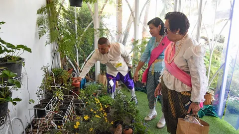 เปิดจำหน่าย ไม้เมืองหนาวงานอุ่นไอรัก