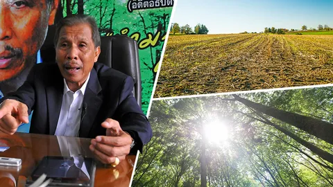 ตั้งเป้าฟื้นฟูป่าลดเหลื่อมล้ำเพิ่มที่ดินทำกิน : ประเทศไทยต้อง สีเขียว