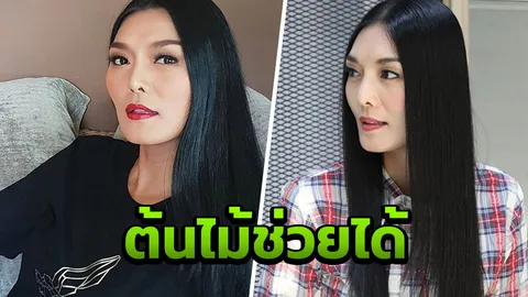 ทำเลย! ลูกหมี แนะปลูกต้นไม้เยอะ เลียนแบบสิงค์โปร์ได้ 