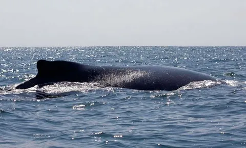 โลกาภิวัตน์ 10/02/54