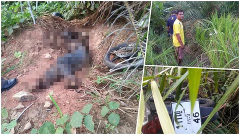 สลด หนุ่มพม่าจยย.ล้มตายในป่ารก นานเป็นเดือนเพิ่งพบศพ