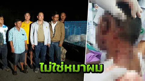 ผู้ใหญ่บ้าน ปัดเป็นเจ้าของหมากัดเด็ก 7 ขวบ จี้คนปล่อยข่าวคลาดเคลื่อนขอโทษ