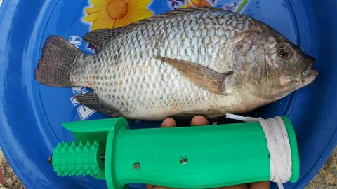 เครื่องขอดเกล็ดปลา