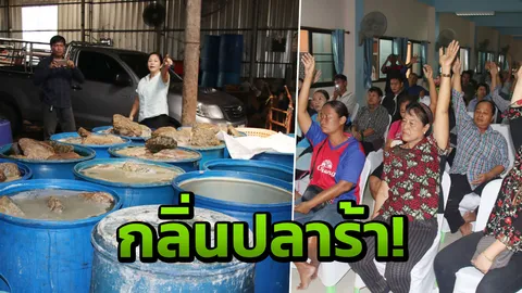  คนสุพรรณฯร้อง เดือดร้อน โรงปลาร้า กลิ่นฉึ่ง เหม็นจนสุดจะทน! 