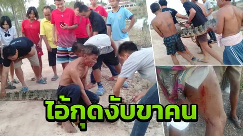 อัญเชิญอัฐิตอนบ่าย ตกเย็นไอ้กุด จระเข้หลวงพ่อคูณโผล่ กัดขาคนทอดแห (คลิป)