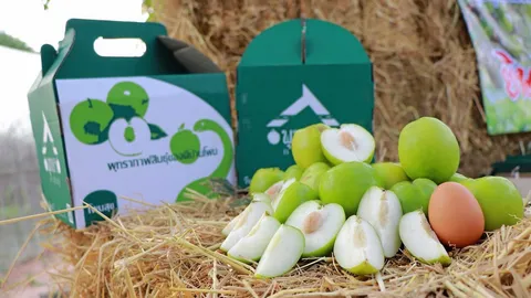 ผู้ว่าฯ...ดันพุทรานมสาว ทำ GAP ส่งขายอาเซียน